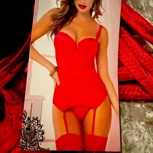 Two piece, Geo lace and shiny stretch, satin, bustiers, and thong set.